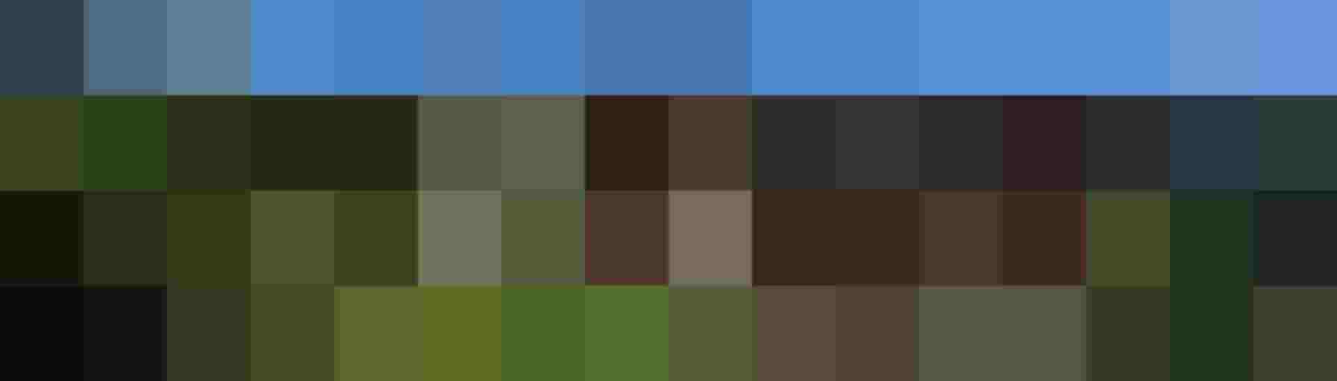 Appartementhaus AlpenHit Saalbach in sonniger Panoramalage mit Alpenblick und grüner Wiese